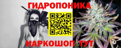 соль ск Лесосибирск
